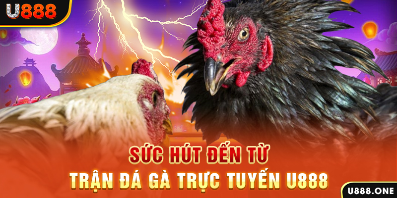 789win91 đá gà trực tiếp c1