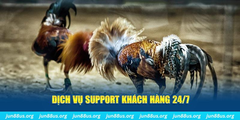 789win91 ÁT CHỦ BÀI GIÀNH LẤY ZHUANG NIUNIU ( XEM 4 LÁ )