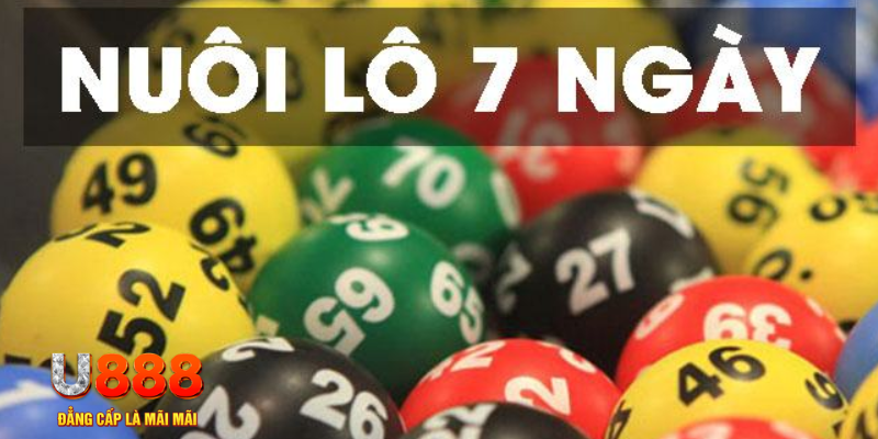 789win91 what are slot machines