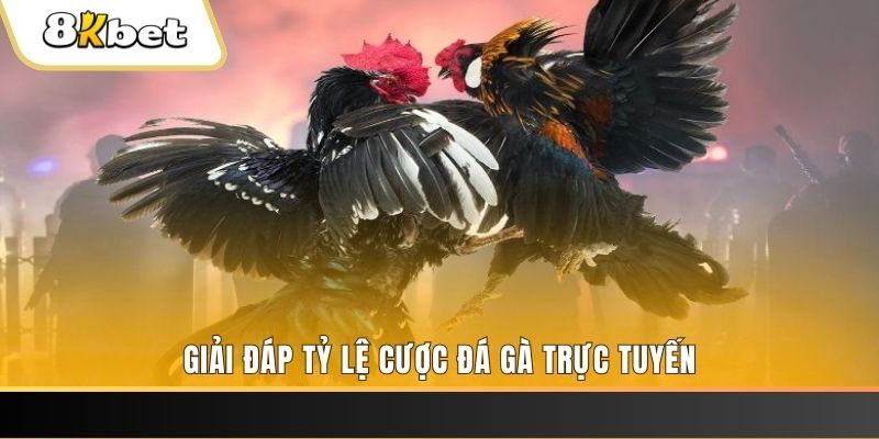 789win91 xổ số đài miền trung