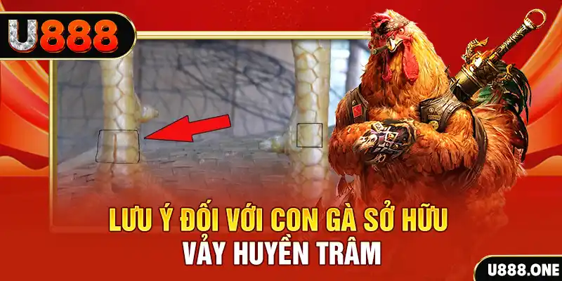 789win91 kết quả xổ số miền nam hôm nay