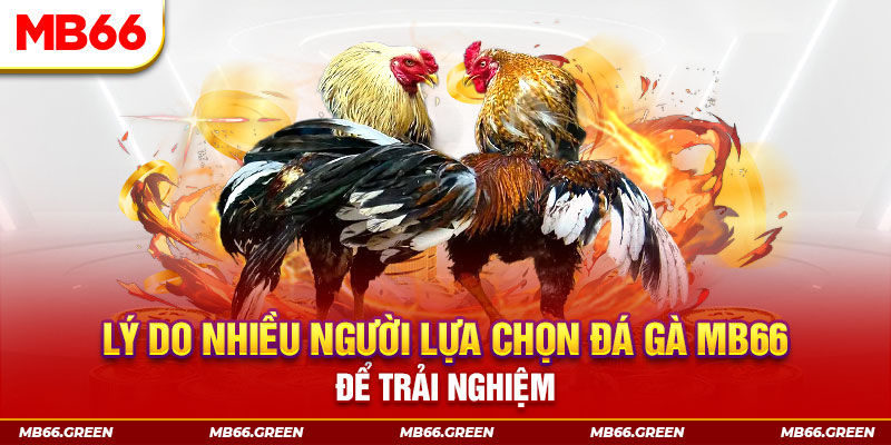 789win91 xổ số miền bắc thứ bảy hàng tuần