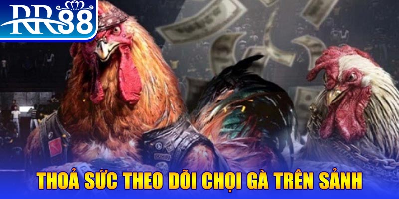 789win91 trực tiếp đá gà c1
