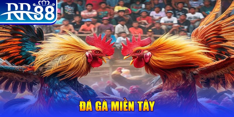 789win91 no hu doi thuong ai