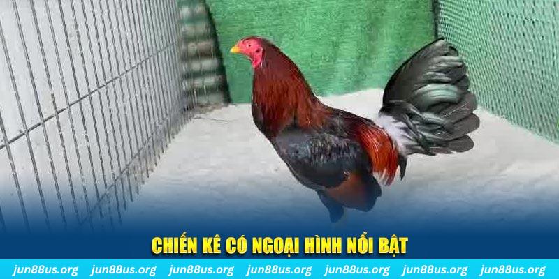 789win91 game nổ hũ là gì